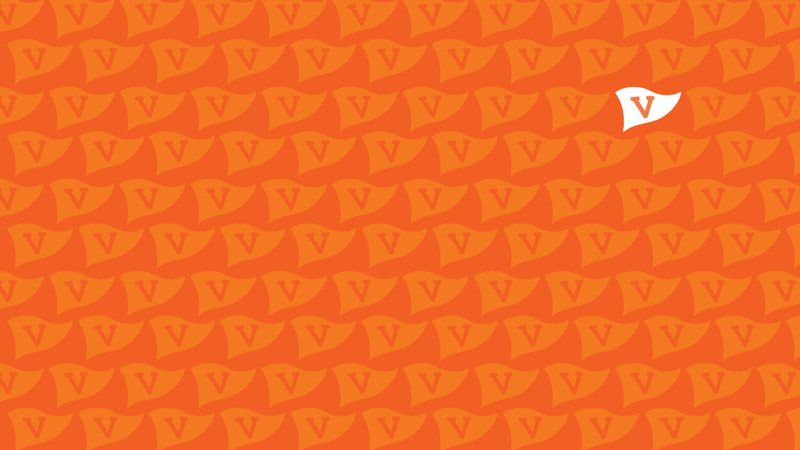 Orange pennant Zoom background