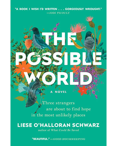 Cover of The Possible World by Liese Schwarz