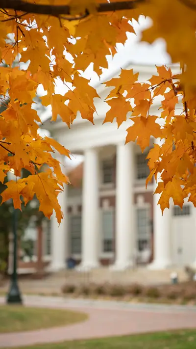 Phone background: Fall foliage on Grounds