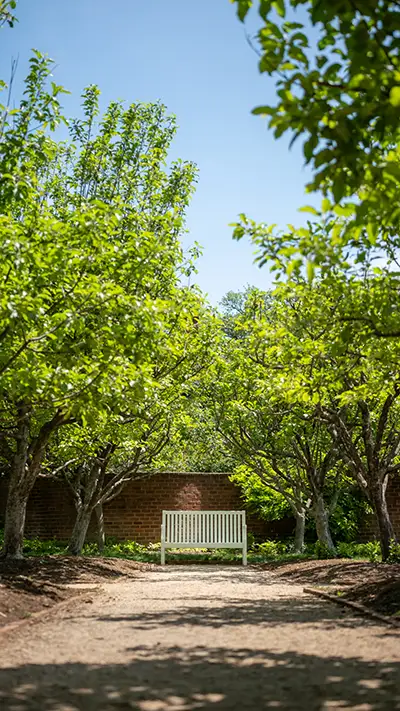 Mobile background: Garden bench