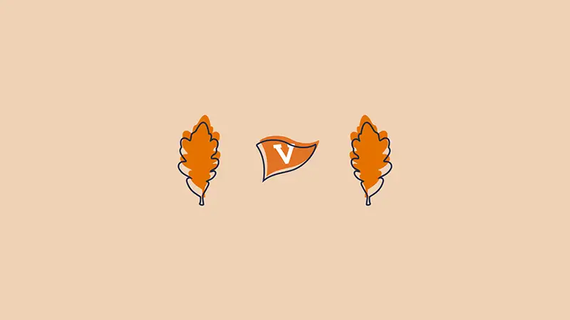 Desktop background: fall leaves