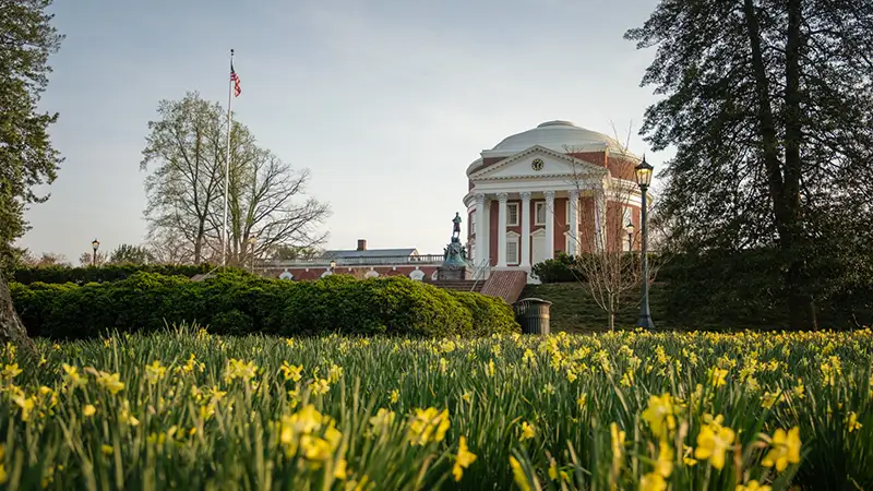 Desktop background: flowers in front of the Rotunda