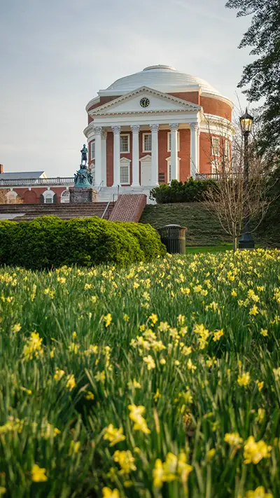 Mobile background: flowers in front of the Rotunda